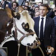 Le président français, Emmanuel Macron, (2e à droite) regarde à côté de la vache normande "Oreillette" (à droite) et de l'éleveur français François Foucault (à droite) pendant sa visite du 60e Salon international de l'agriculture, au Parc des expositions de la Porte de Versailles, le jour de l'ouverture du salon, à Paris, le 24 février 2024.