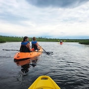 Des kayakistes au marais de la Rivière-aux-Cerises.