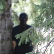 Une fille de dos prend appui sur un arbre dans un parc.