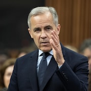 Le premier ministre du Canada, Mark Carney, répond à une question à la Chambre des communes.
