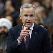 Le premier ministre Mark Carney lors de la p&eacute;riode des questions &agrave; la Chambre des communes, le 17 novembre 2025.