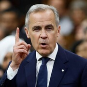 Le premier ministre Mark Carney gesticulant lors de la période des questions à la Chambre des communes, le 28 mai 2025.