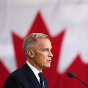 Mark Carney parle dans un micro devant un grand drapeau du Canada.