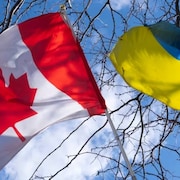 Les drapeaux canadien et ukrainien côte à côte.