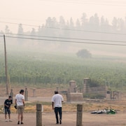 Trois hommes au bord d'un champ recouvert d'une épaisse fumée, à Kelowna, le 20 août 2023.
