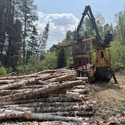 Maxence Otis charge des billots de bois sur la plateforme d'un camion transporteur.