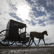 Une carriole tirée par un cheval sur une route de terre en hiver, sous un ciel nuageux.