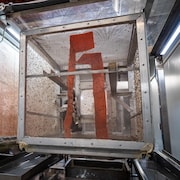 Des cages pleines de mouches.