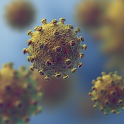 Coronavirus de la grippe en très gros plan.