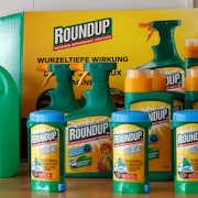 L'herbicide Roundup dans différents emballages.