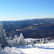 Un paysage montagneux l'hiver.