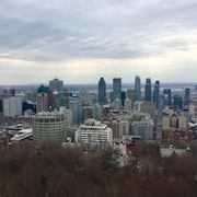 Le centre-ville de Montréal, vu du sommet du mont Royal