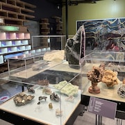 Toutes sortes de pierres et de roches sont exposées dans un présentoir vitré.