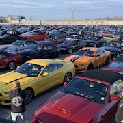 Des milliers de Mustang rassemblées dans un stationnement