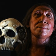 Reconstitution de la tête d'une femme néandertalienne de 75 000 ans.