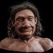 Reconstitution du visage d'un Néandertalien