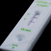 Un test rapide de dépistage de la COVID-19.