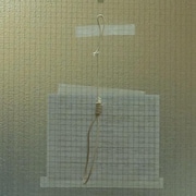 Un noeud coulant accroché sur une porte.