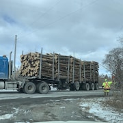 Un camion qui transporte des arbres coupés.