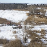 De la machinerie lourde est au repos dans une forêt clairsemée.