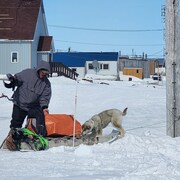Un homme installe de l'équipement sur un traîneau de bois dans la neige pendant qu'un chien renifle à terre.