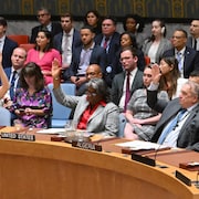 Les membres du Conseil de sécurité adoptant la résolution de cessez-le-feu.