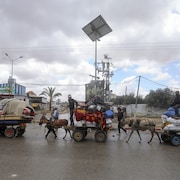 Des Palestiniens juchés sur des chariots recouverts de biens et de sacs et tirés par des ânes traversent une ville.