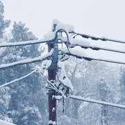 Des lignes électriques enneigées
