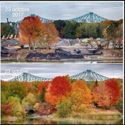 Dans la photo du haut, datée du 23 octobre 2017, on voit qu'il y a beaucoup moins d'arbres que dans la photo du bas, datée du 23 octobre 2015. De plus, il y a plusieurs machines de construction sur le site.