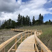 Une toute nouvelle passerelle en bois peut être empruntée dans le secteur des dunes.