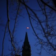 Le drapeau du Canada est illuminé par la lumière du matin, un branche est en avant-plan.