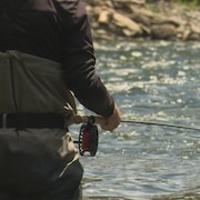 Un homme, que l'on voit de dos, pêche dans une rivière.