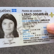 Un spécimen de permis de conduire du Québec.