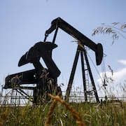 Une pompe à pétrole dans un champ près de Cremona, en Alberta, le 29 juillet 2022. 