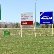 Les pancartes des candidats à l'élection partielle dans Pictou-Ouest, en Nouvelle-Écosse.