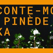 Une infographie avec des pins.
