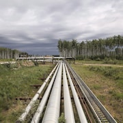 Pipelines dans un paysage.