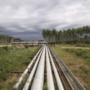 Pipelines dans un paysage.