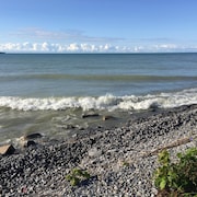 Une plage de galets dans le Comté de Prince Edward.