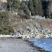 Le chemin menant à la plage du secteur Penouille, à Gaspé. 