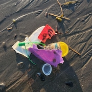 Des résidus de plastique sur la berge, à marée basse à Sainte-Luce.