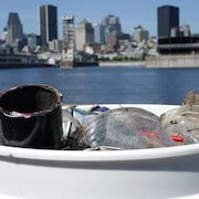 Des déchets recueillis sur les berges du fleuve Saint-Laurent, à Montréal.