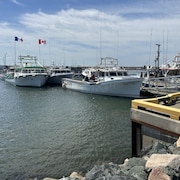Des bateaux de pêche accostés à un quai.