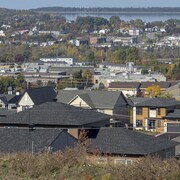 Avec l'île Saint-Barnabé au loin, des maisons de quartiers de Rimouski sont entourées d'arbres.