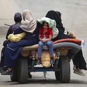 Les Palestiniens sont assis sur une charrette tirée par des animaux alors qu'ils se déplacent vers des zones plus sûres à Rafah, dans le sud de la bande de Gaza, le 10 mai 2024.