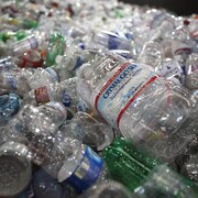 Des bouteilles d'eau en plastique dans un centre de recyclage.