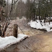 Une rivière qui sort de son lit. 