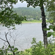 Une vue de la rivière Restigouche.