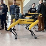 Un robot jaune est sur un plancher devant des gens.