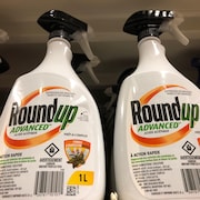 L'herbicide Roundup, qui est visé par une requête d'action collective.